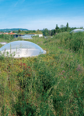 
Architect, artist, and professor Gernot Minke created a model for ecological development when he redesigned and greened his neighborhood in the early 1990s
